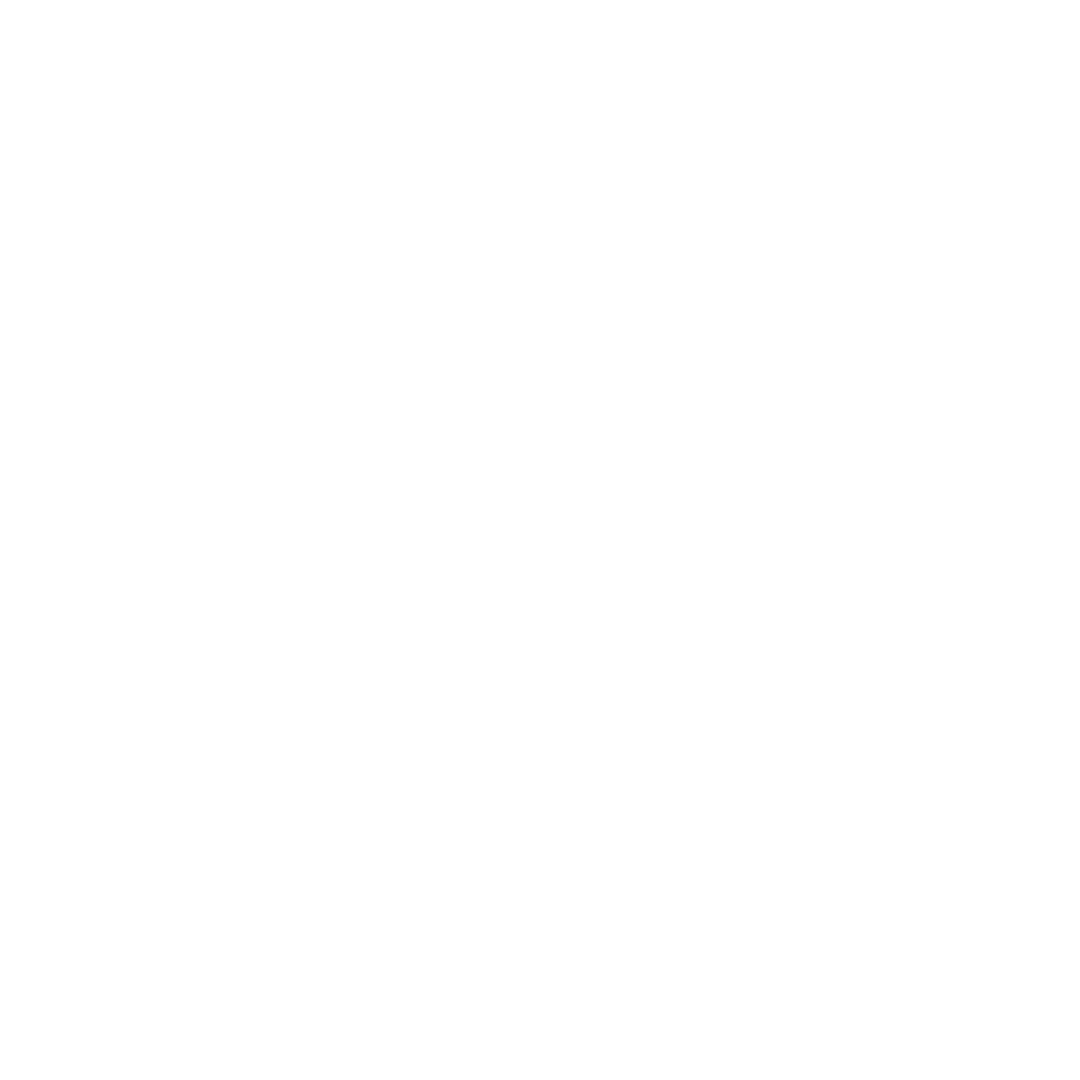 Fully Insured
