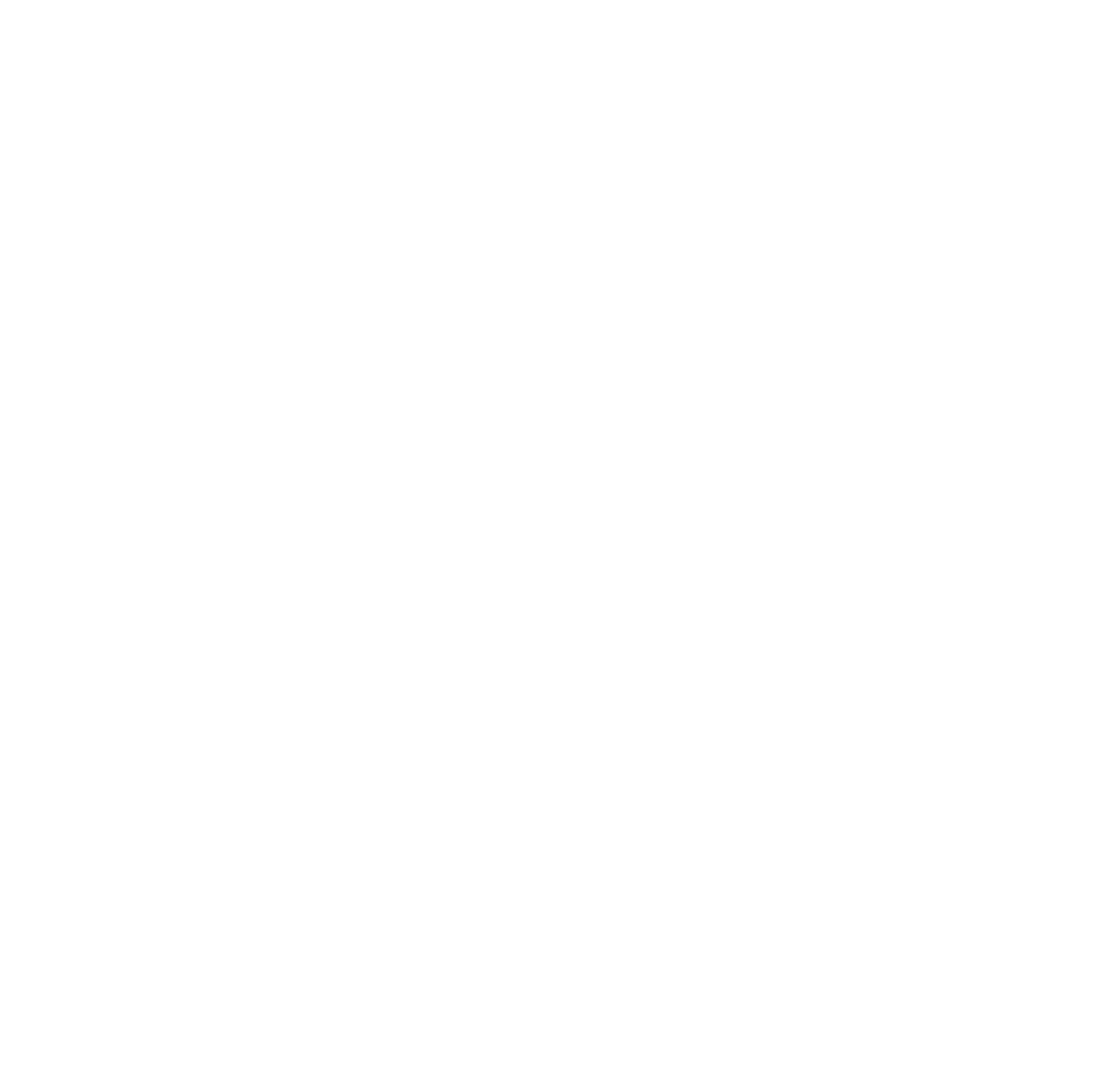 Google Top Search